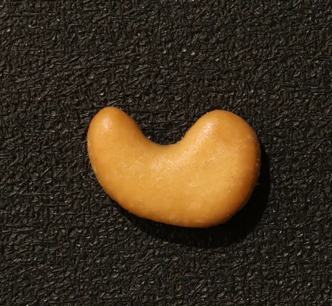 VisA photo of a cashew, labelled no defect