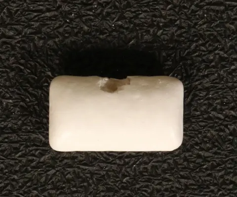 VisA photo of a chewing gum pellet, labelled chunk of gum missing